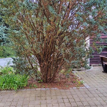 Amazing Apartment In Bad Schandau-Kleing, Kleingiesshubel Exterior foto